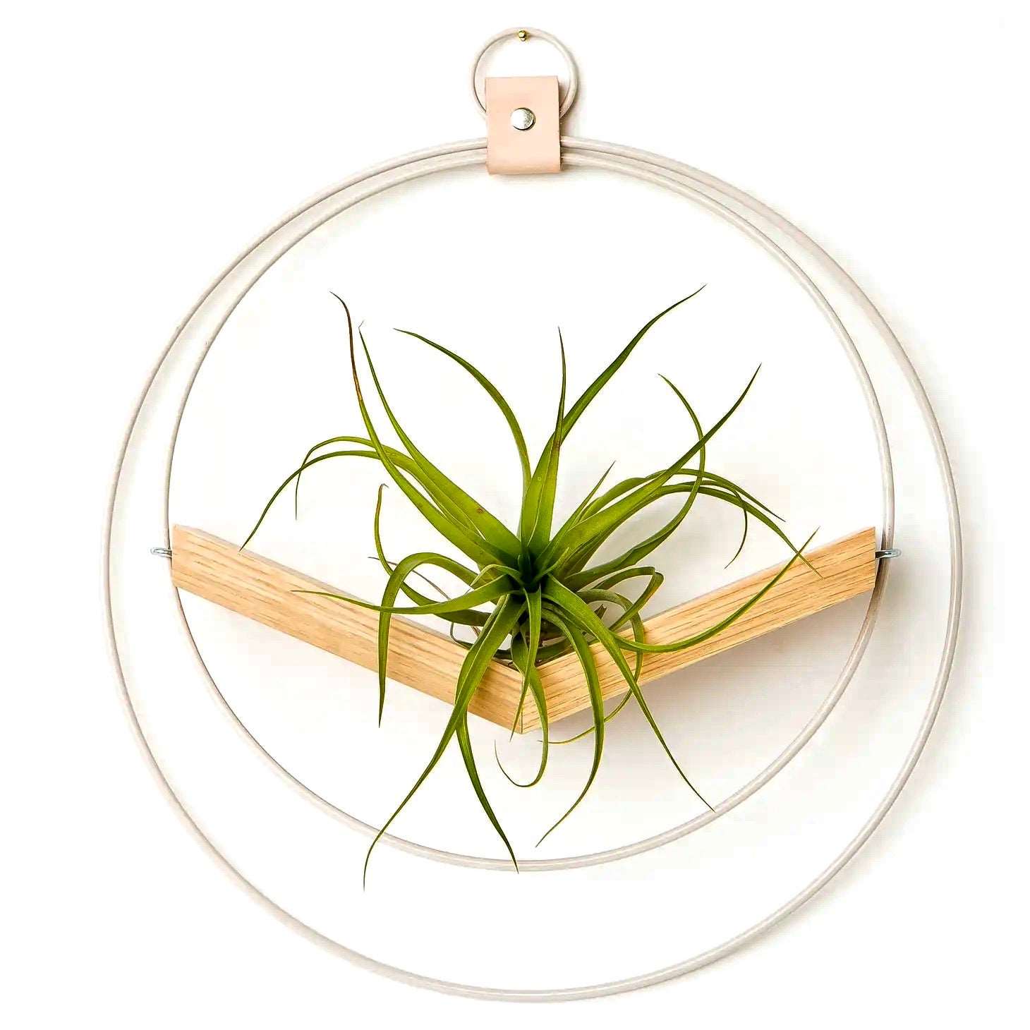 White and Wood Air Plant Holders