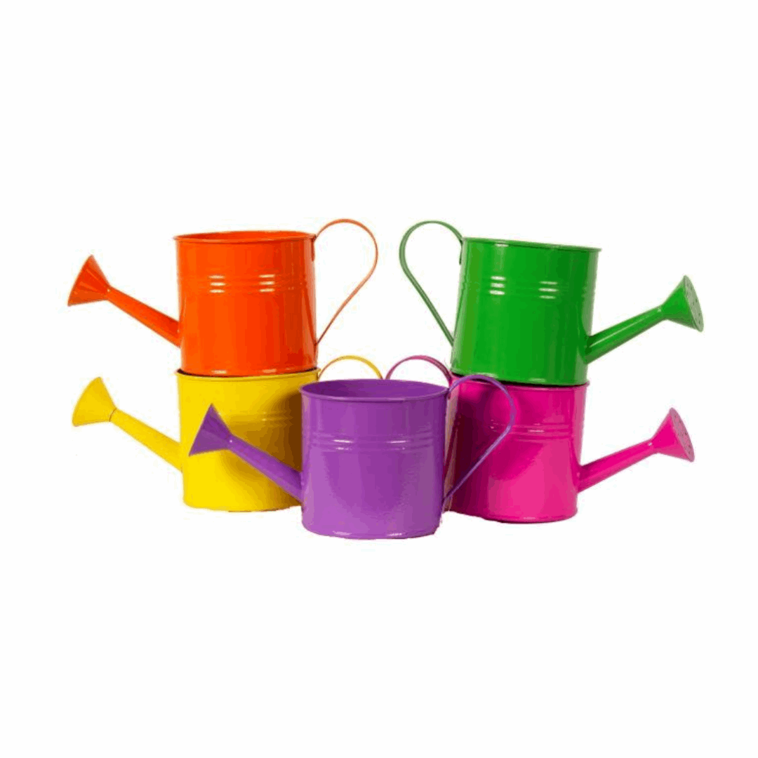 6.5 Inch Bright Watering Can Planter