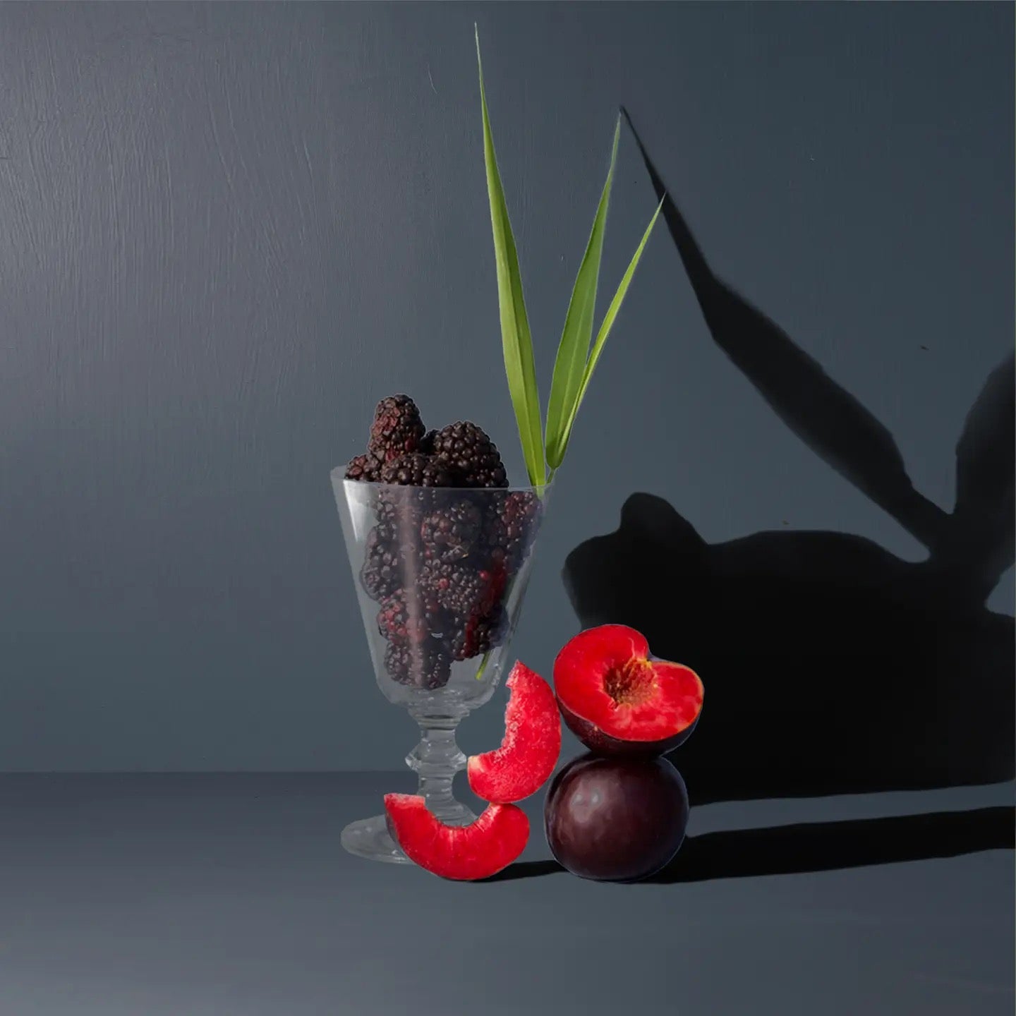 Stargazing Mandarin + Vetiver Reed Diffuser