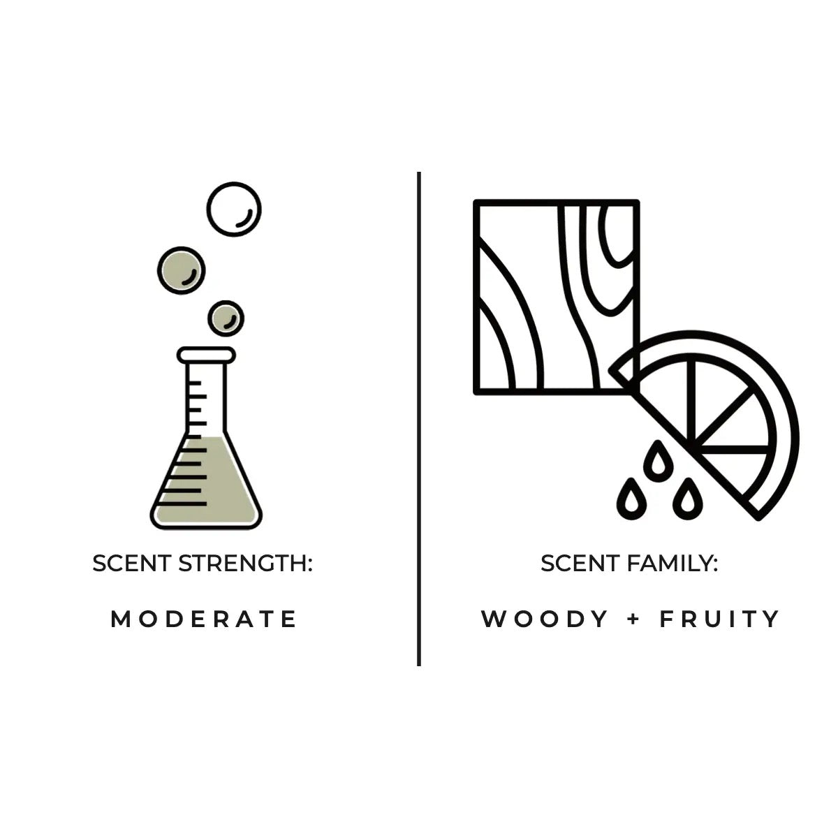 Stargazing Mandarin + Vetiver Reed Diffuser