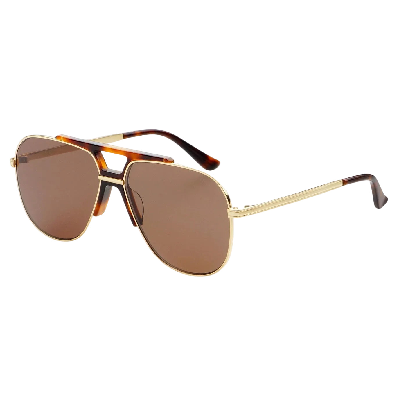 Logan Acetate Aviator Sunnies