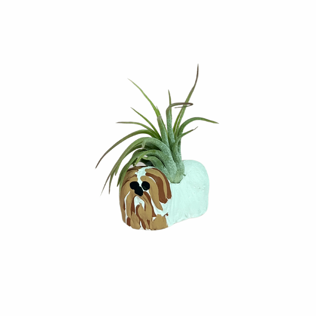 Mini Shih Tzu Dog Air Plant Holder