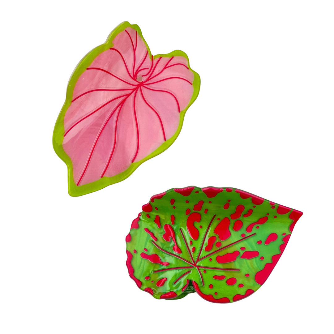 Monstera Plant Leaf Claw Clip