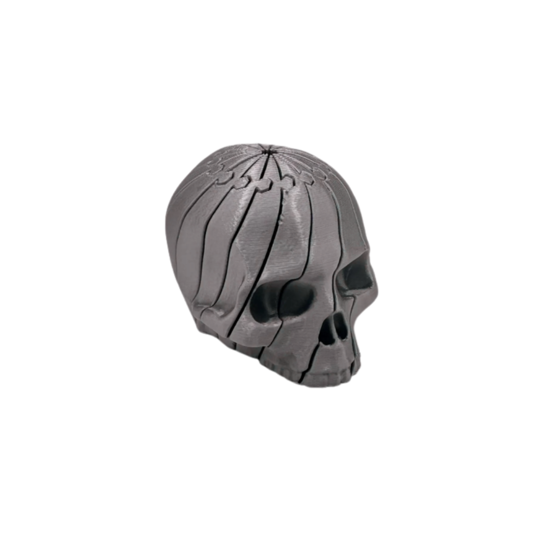 Twist and Turn Skull Fidget