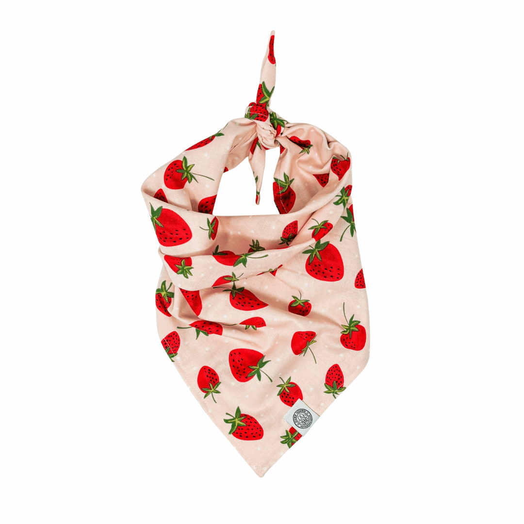 Strawberry Fields Dog Bandana