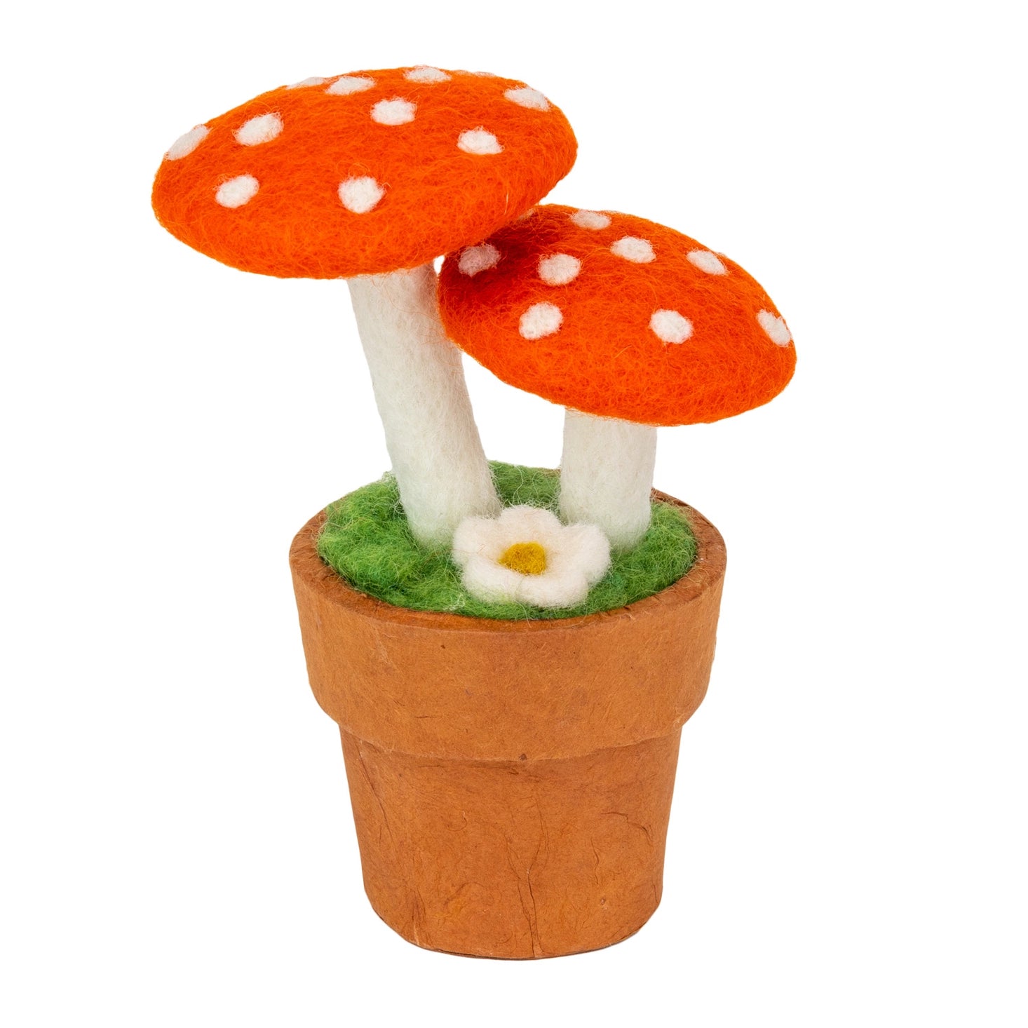 Eco-Mushroom Potted Plant
