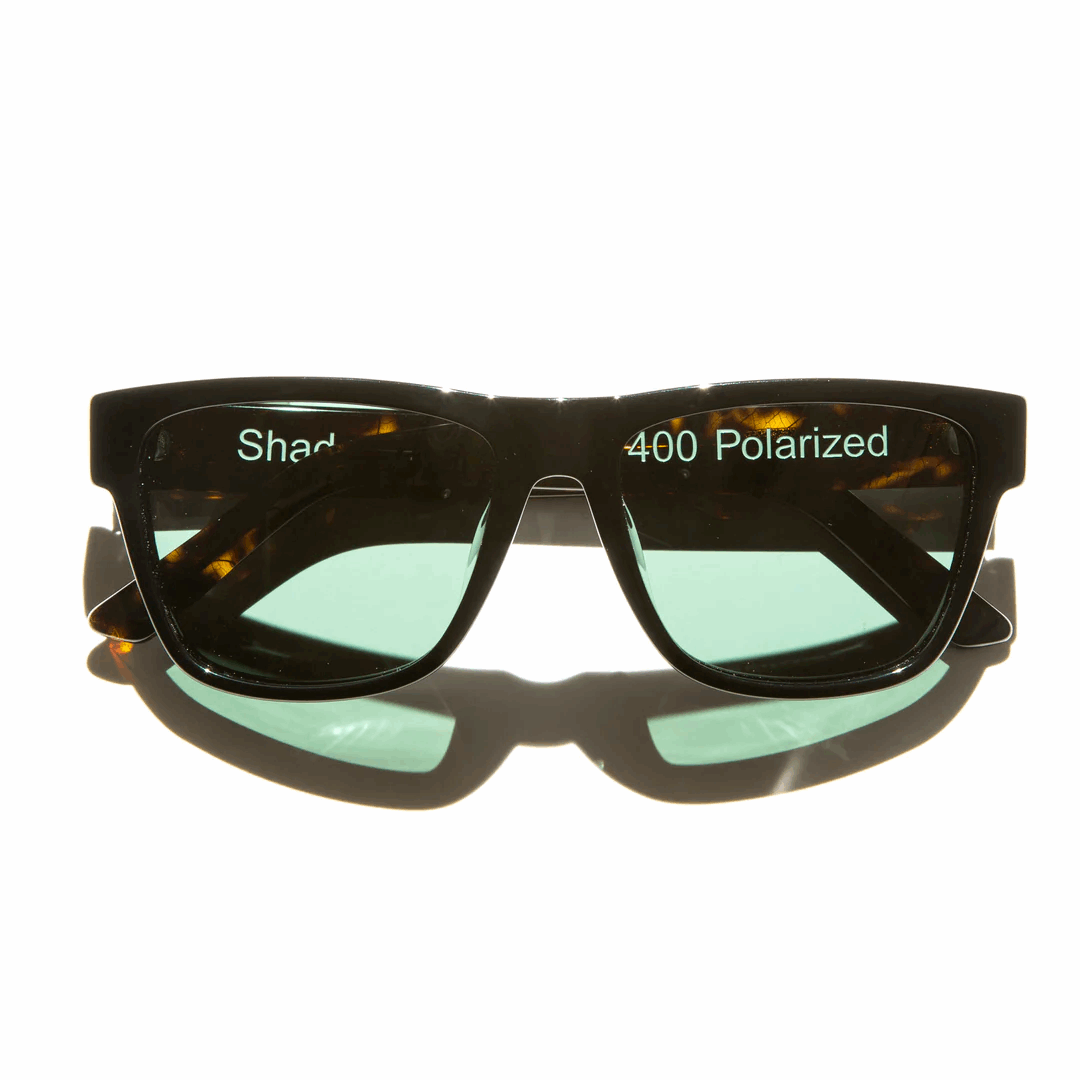 Big Bear Sunglasses - Lacy