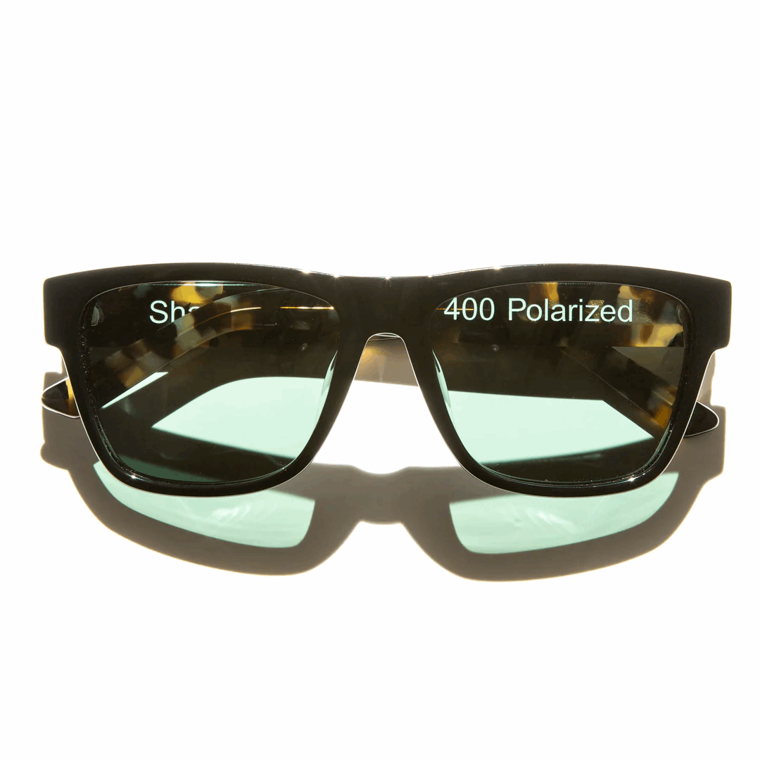 Big Bear Sunglasses - Knight