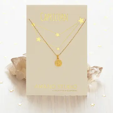 Zodiac Coin Necklace