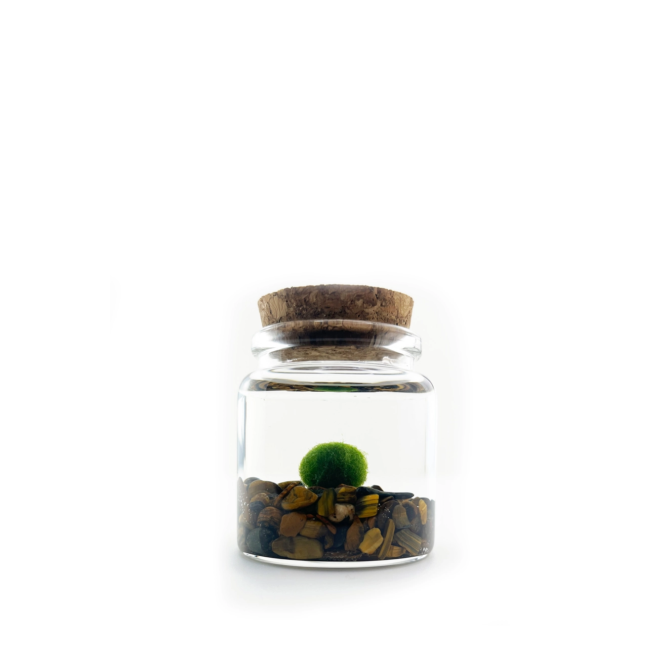 Tiger Eye Rico Moss Ball