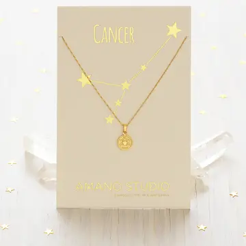 Zodiac Coin Necklace